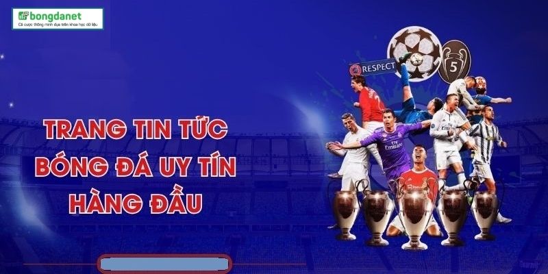 Quy trình xử lý yêu cầu chuẩn chỉ