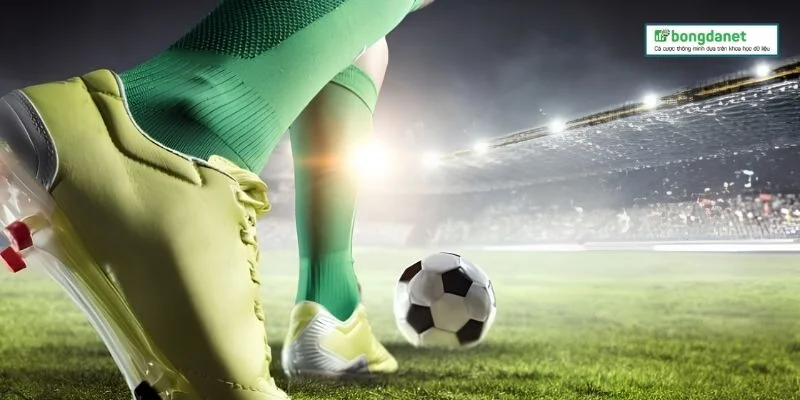 Livescore là trợ thủ đắc lực cho tân binh
