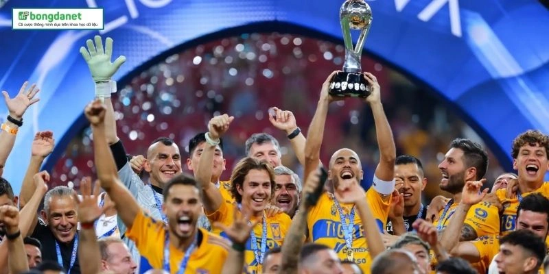 Theo Dõi Liga MX Hiệu Quả Với Nền Tảng Kèo Bóng Đá