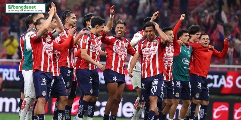 Soi Kèo Liga MX Hiệu Quả Nhất